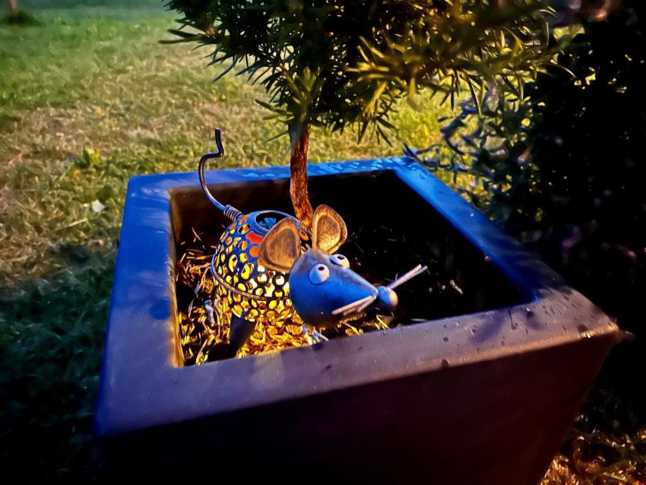 דירות בלד Tree מראה חיצוני תמונה